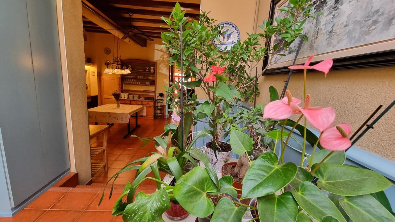 Hotel Torino Masnou Ngoại thất bức ảnh